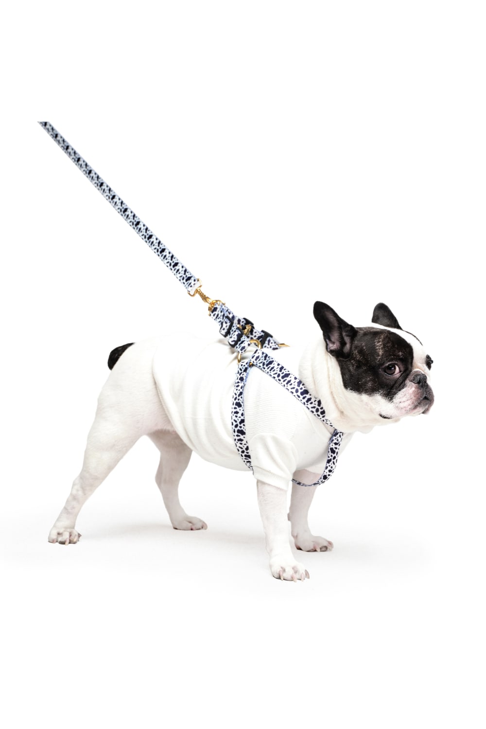 Siena Couture-Bianco | T-shirt-Köpek-4-Milagron.com