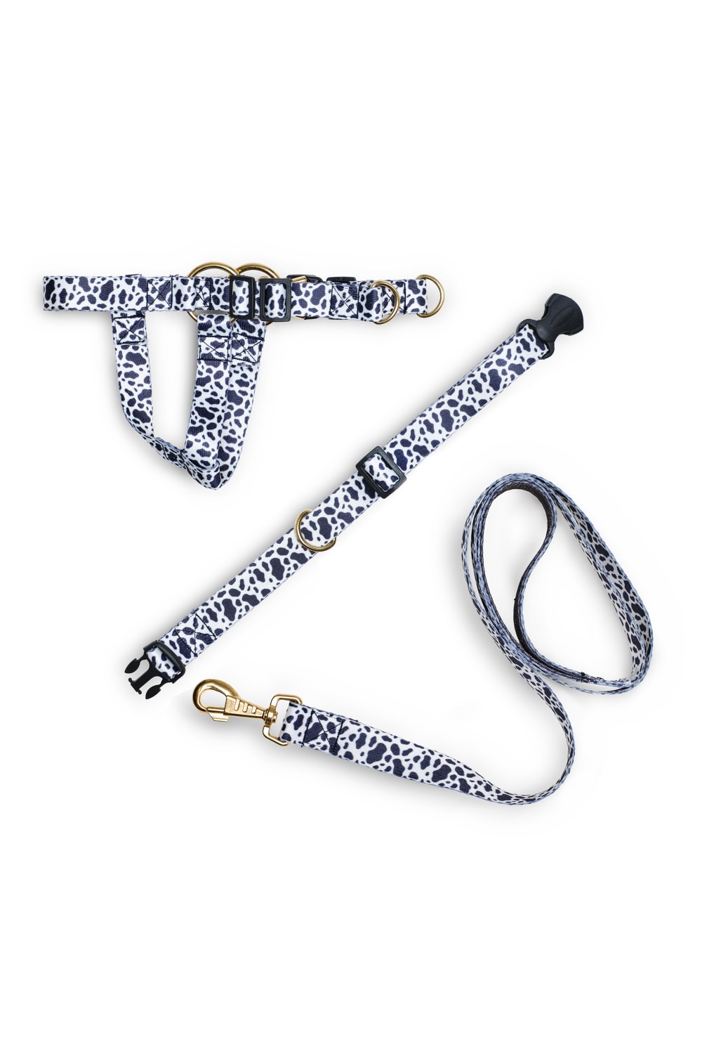 Siena Couture-Fedelta | Gezi Seti-Köpek-1-Milagron.com