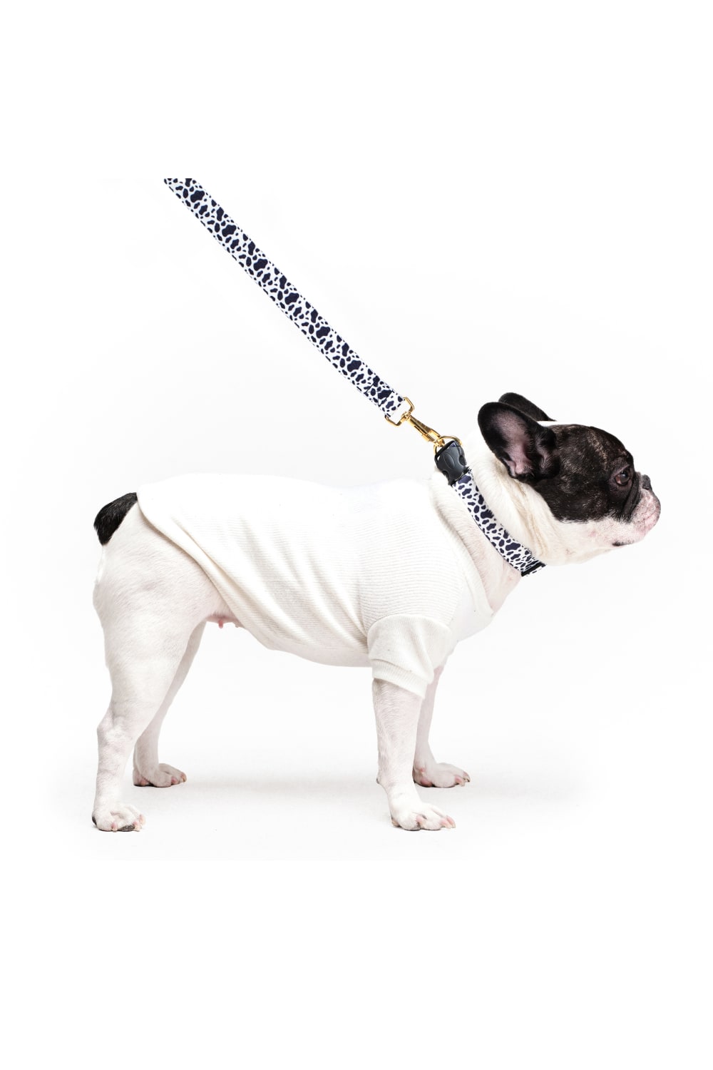 Siena Couture-Fedelta | Gezi Seti-Köpek-3-Milagron.com