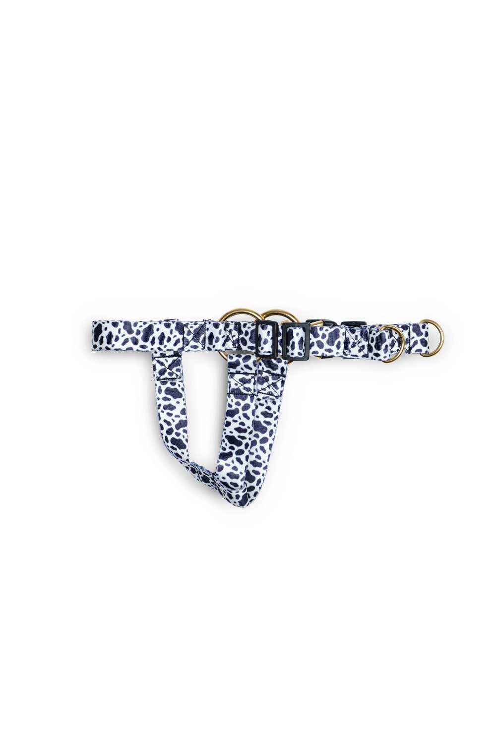 Siena Couture-Fedelta | Göğüs Tasması-Köpek-2-Milagron.com