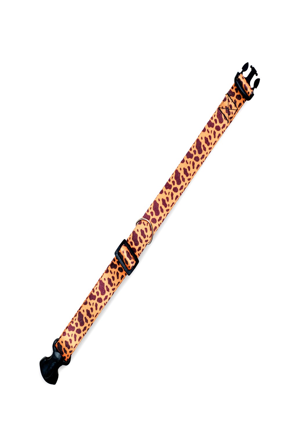 Siena Couture-Fudicia | Boyun Tasması-Köpek-1-Milagron.com