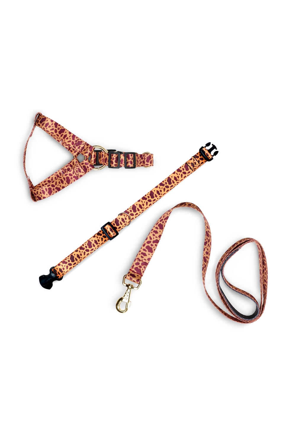 Siena Couture-Fudicia | Gezi Seti-Köpek-1-Milagron.com