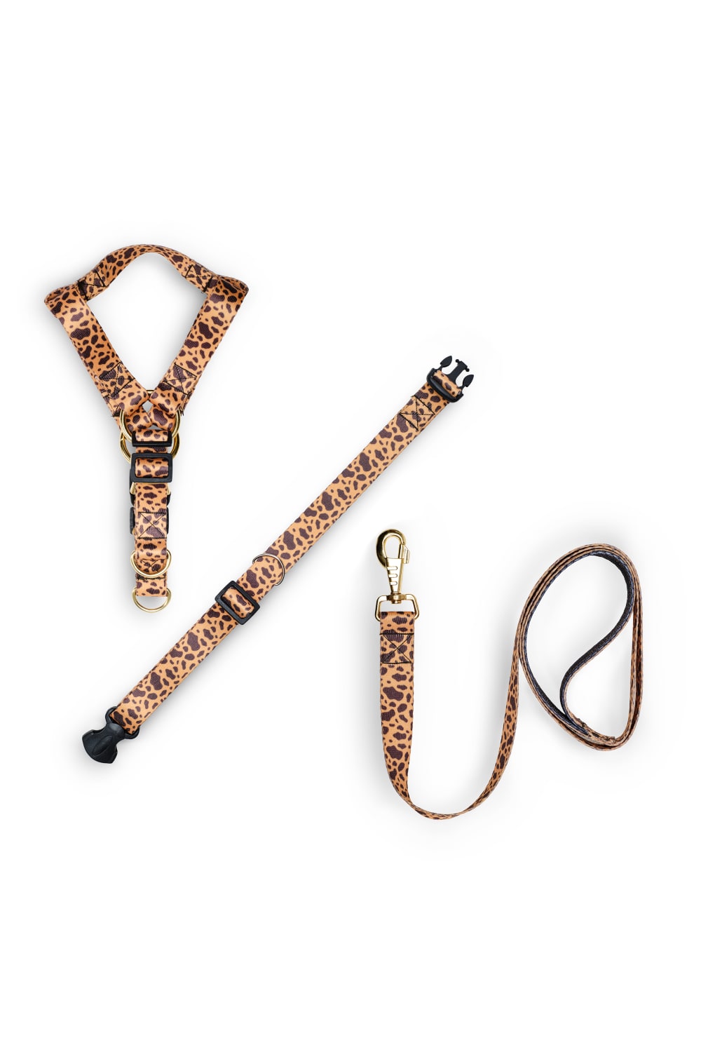 Siena Couture-Lealta | Boyun Tasması-Köpek-3-Milagron.com