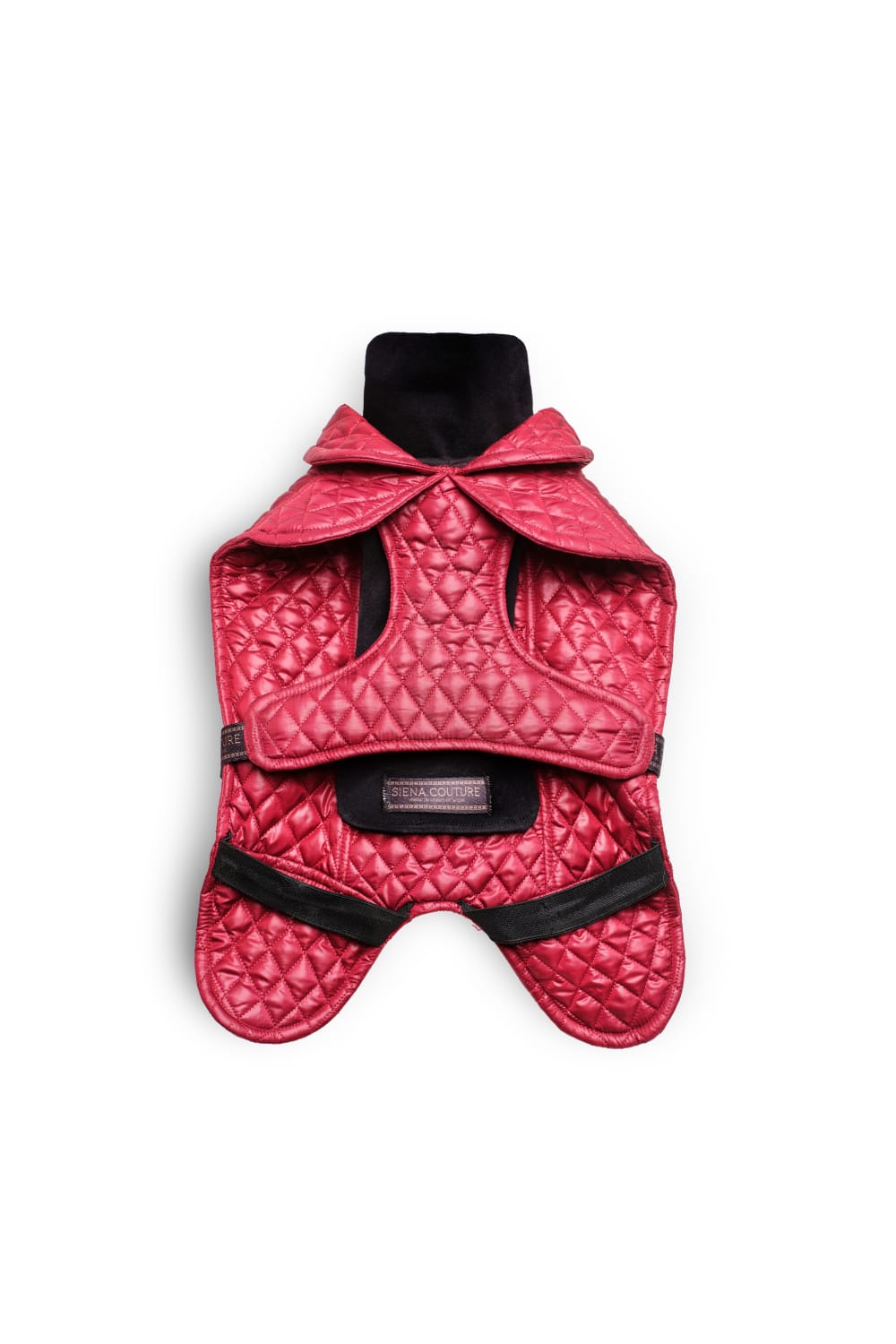 Siena Couture-Mazzini | Koşu Takımı-Köpek-2-Milagron.com