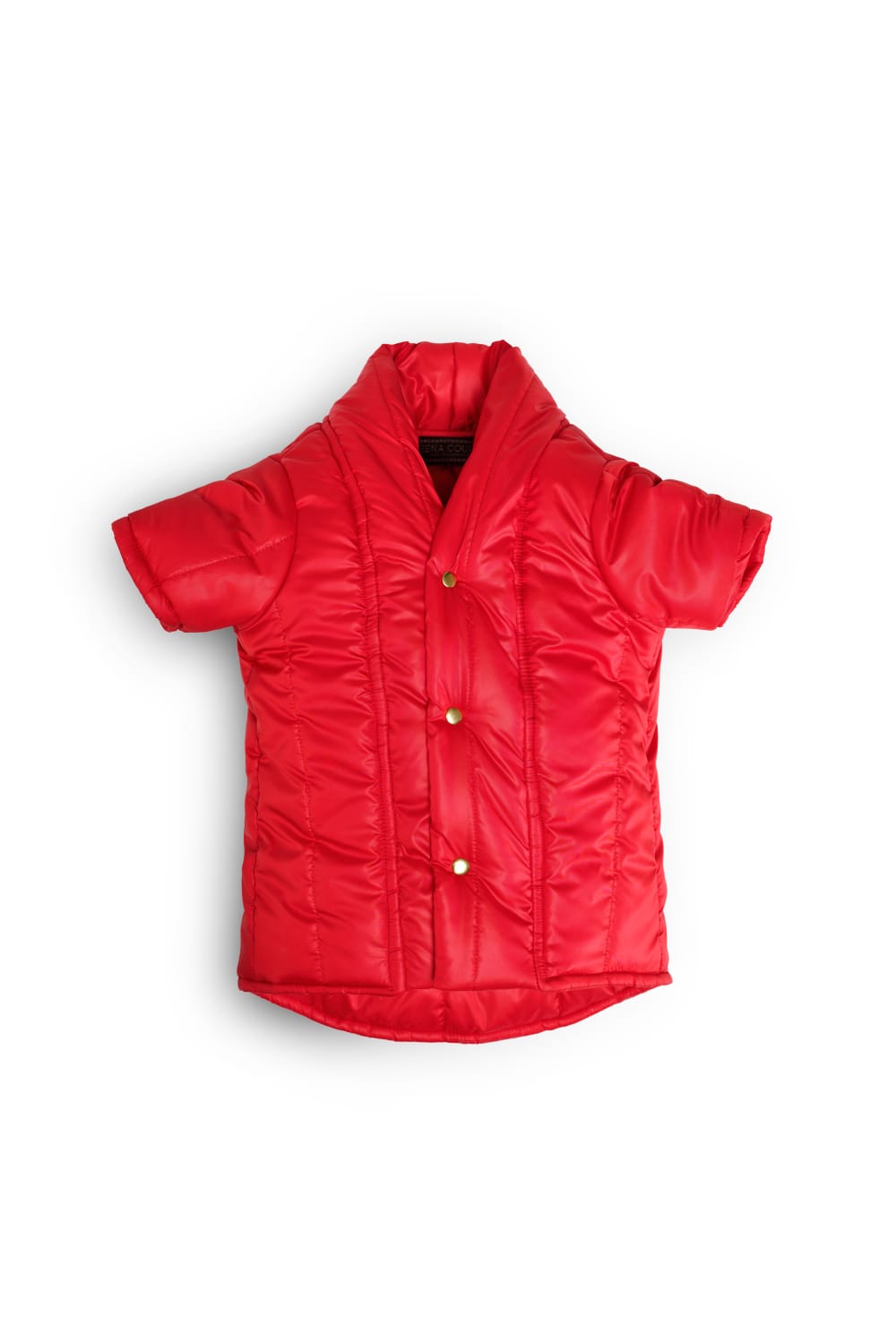 Siena Couture-Milanesi | Mont-Köpek-2-Milagron.com