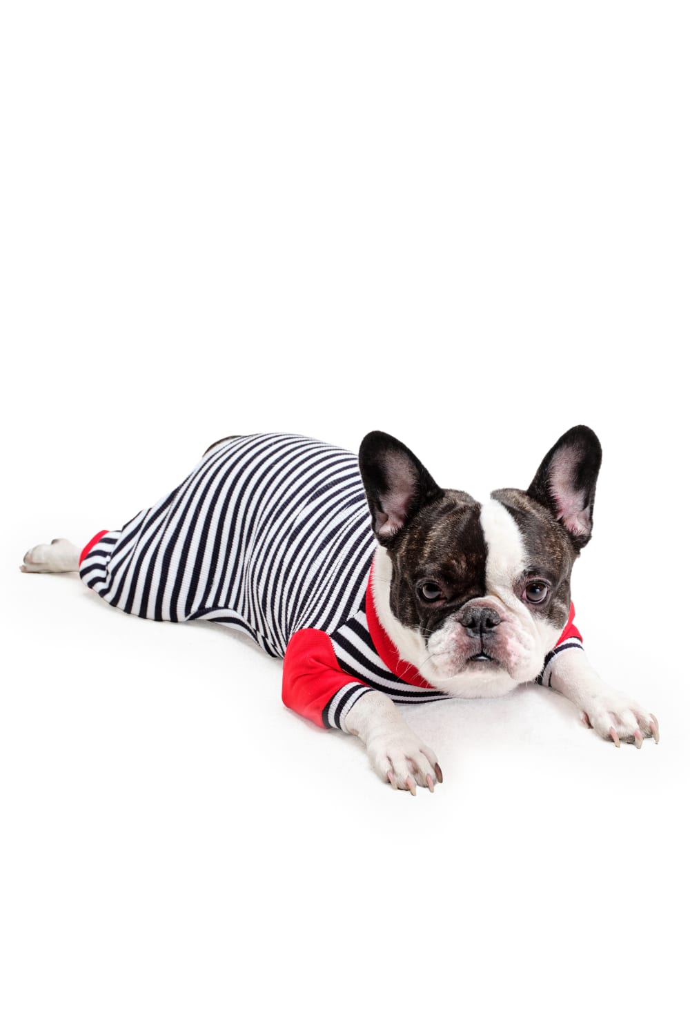 Siena Couture-Pigiama Bold | Pijama-Köpek-1-Milagron.com