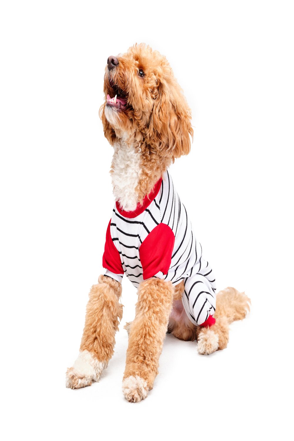 Siena Couture-Pigiama Thin | Pijama-Köpek-3-Milagron.com