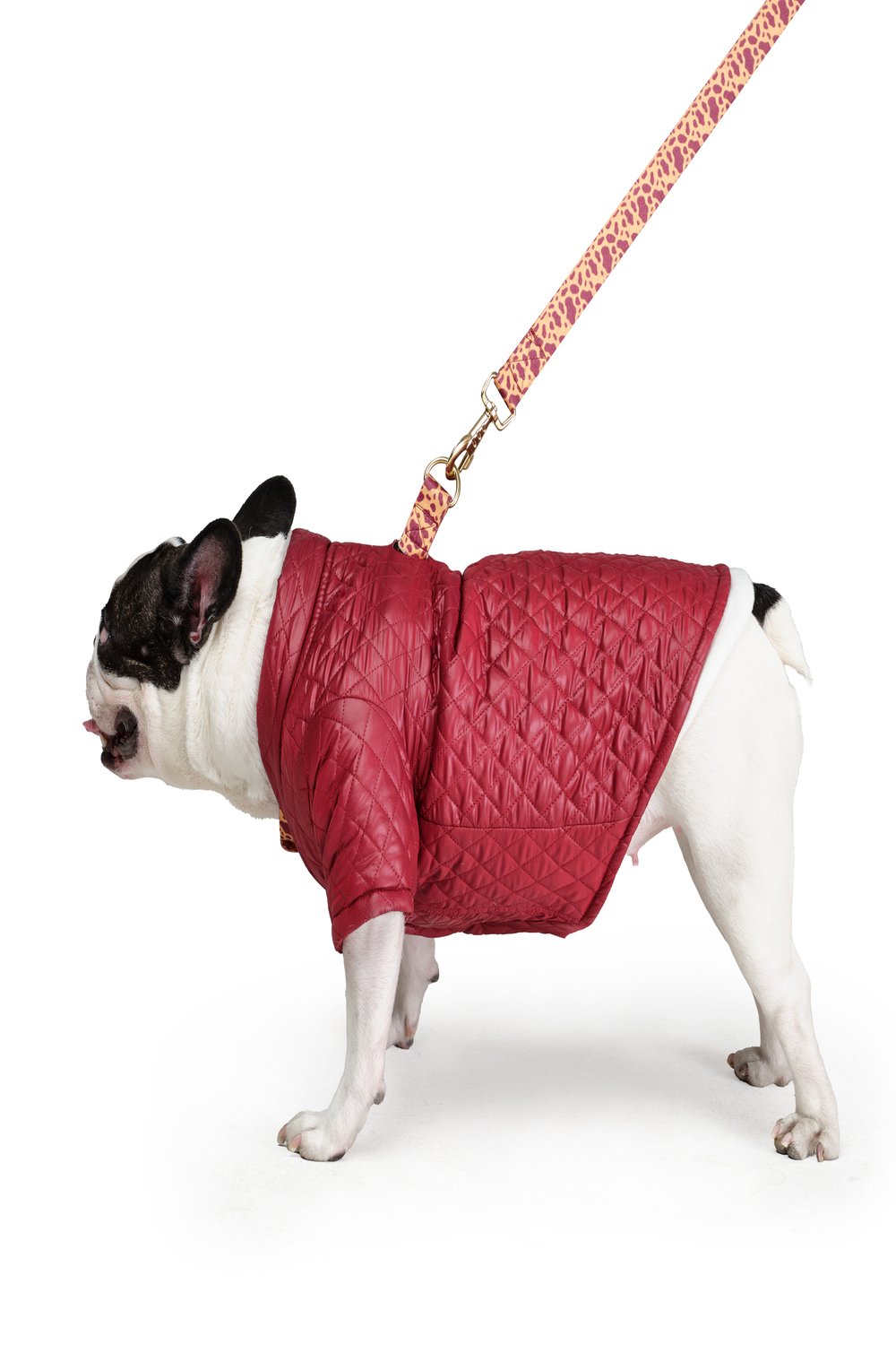 Siena Couture-Trapuntata | Mont-Köpek-3-Milagron.com