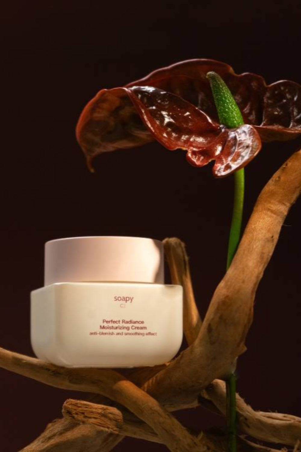 Soapy Co-Soapy Co. Perfect Radiance Nemlendirici Krem-Yüz Kremi-1-Milagron.com