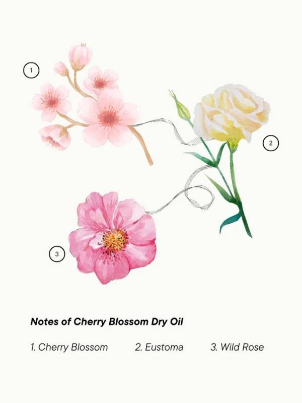 Soapy Co. Cherry Blossom Kuru Yağ