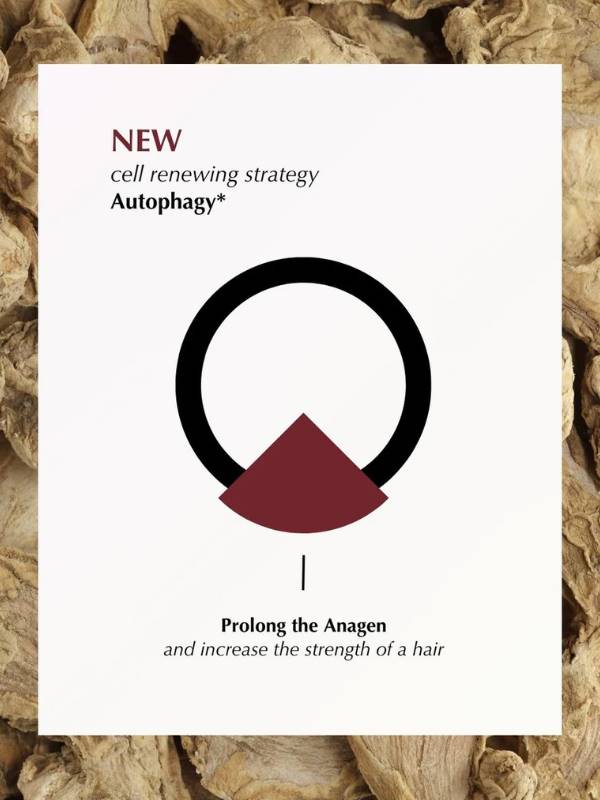 Soapy Co. Densifying Saç Serumu