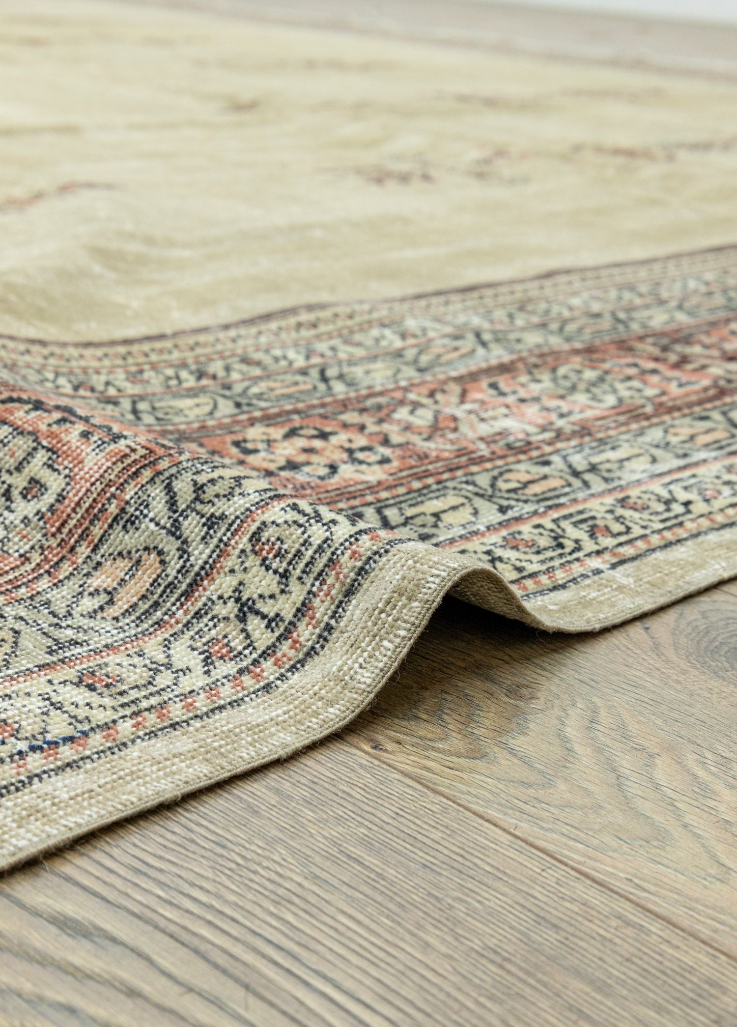 Soho Antiq-Saulet Madalyon Desenli Büyük Halı 413x423 Cm-Halı-5-Milagron.com