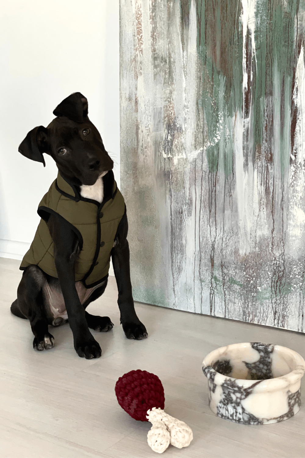 St. Pia-Marbowl Mama + Su Kabı-Spilt Ink-Köpek-4-Milagron.com