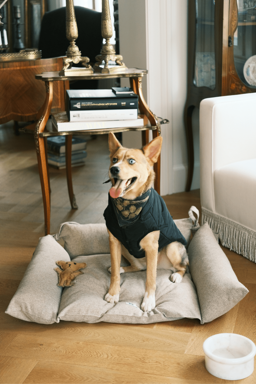 St. Pia-Marbowl Mama + Su Kabı-White-Köpek-3-Milagron.com