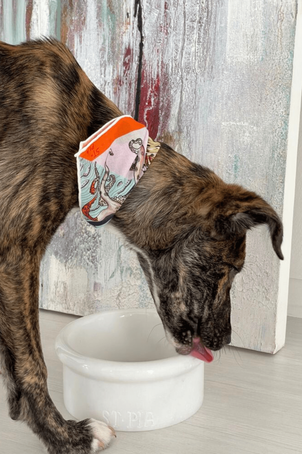 St. Pia-Marbowl Mama + Su Kabı-White-Köpek-5-Milagron.com