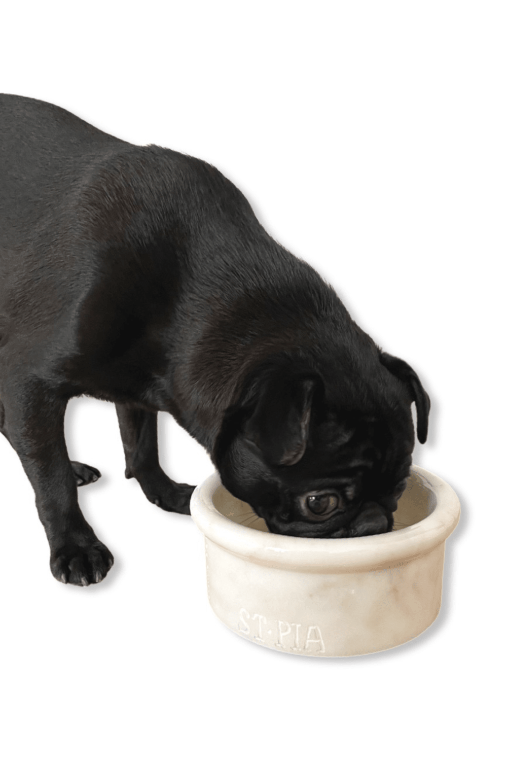 St. Pia-Marbowl Mama + Su Kabı-White-Köpek-6-Milagron.com