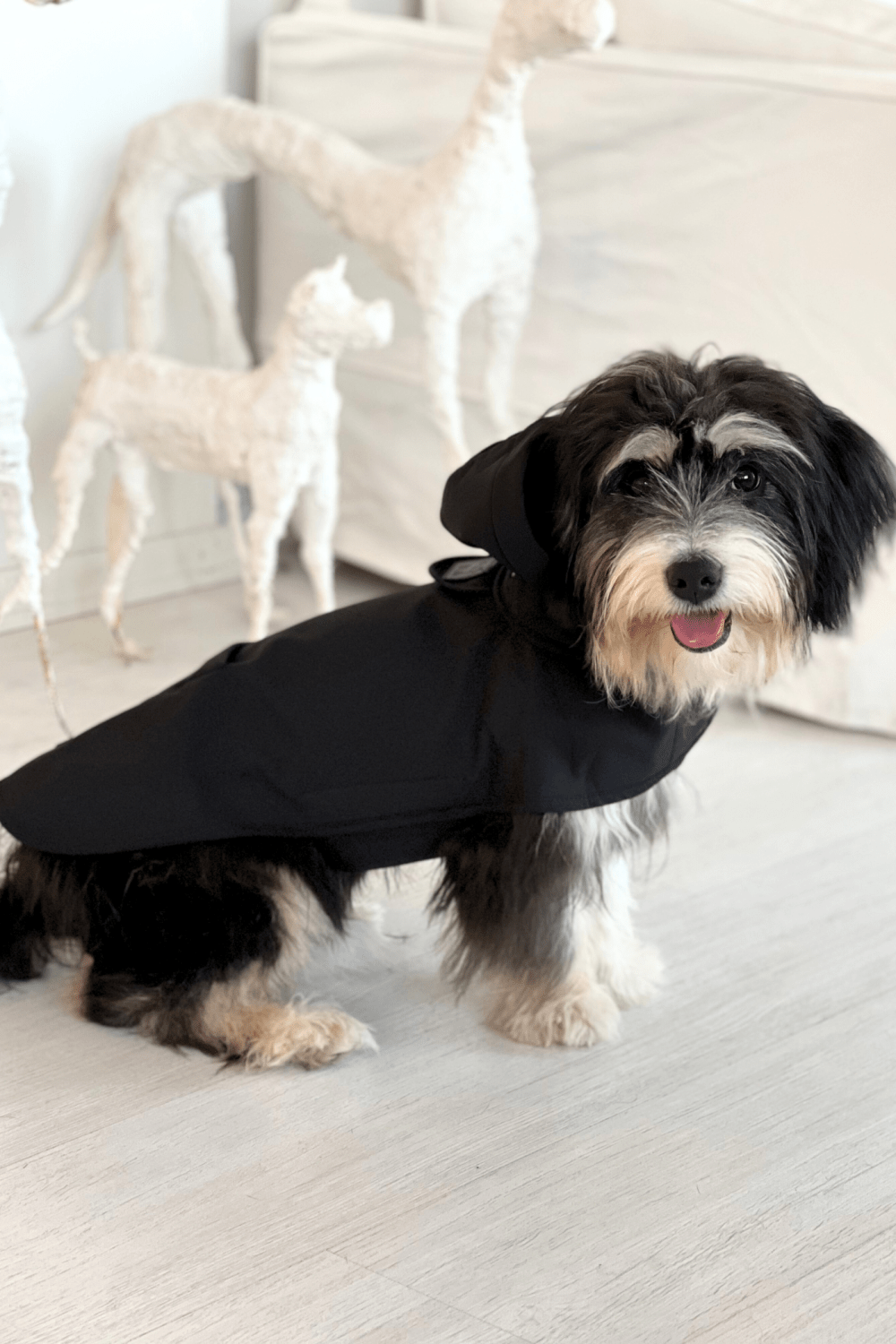 St. Pia-Pluvio Köpek Yağmurluğu-Köpek-2-Milagron.com