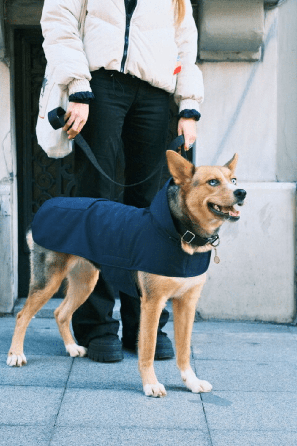 St. Pia-Pluvio Köpek Yağmurluğu-Köpek-2-Milagron.com