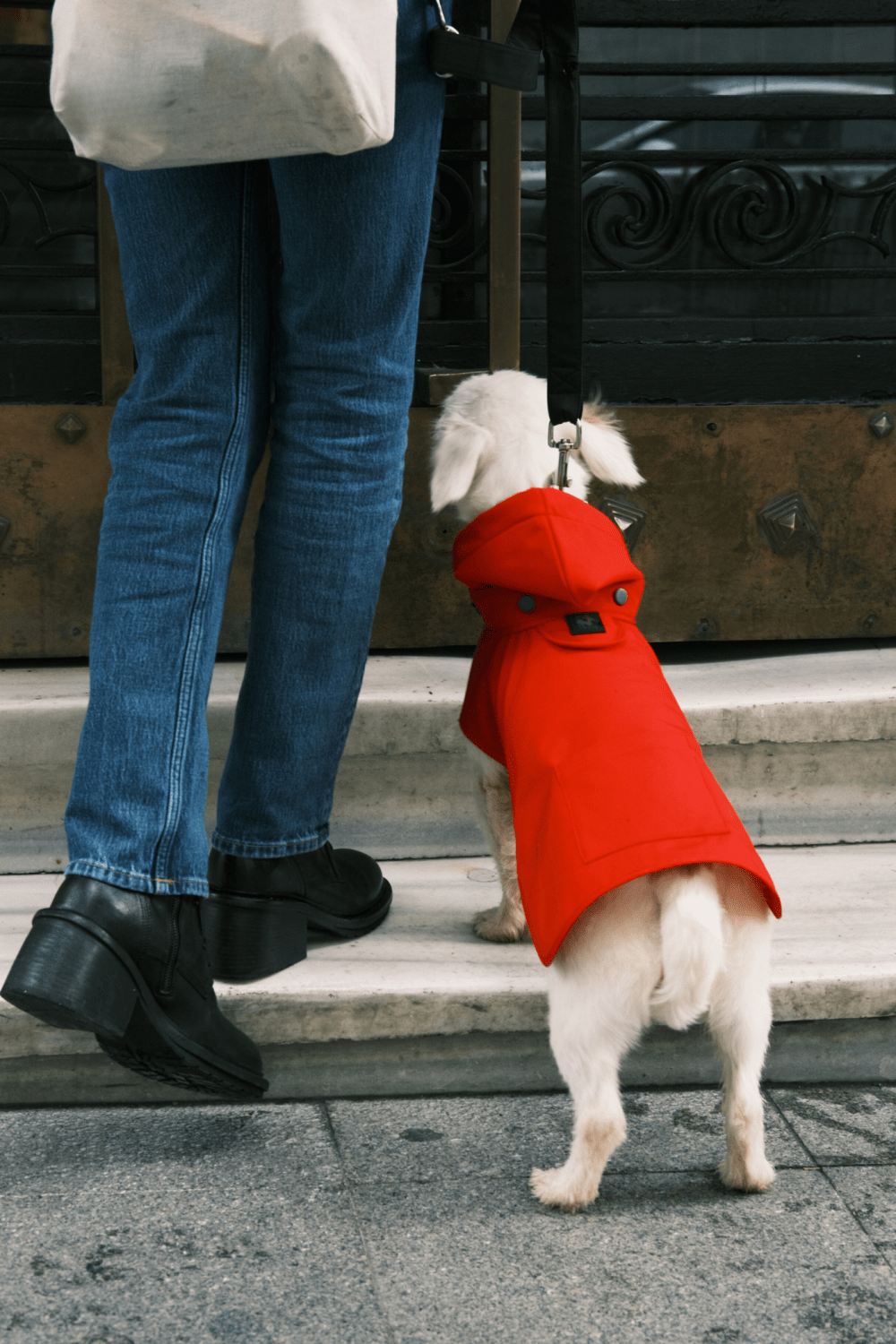 St. Pia-Pluvio Köpek Yağmurluğu-Köpek-3-Milagron.com