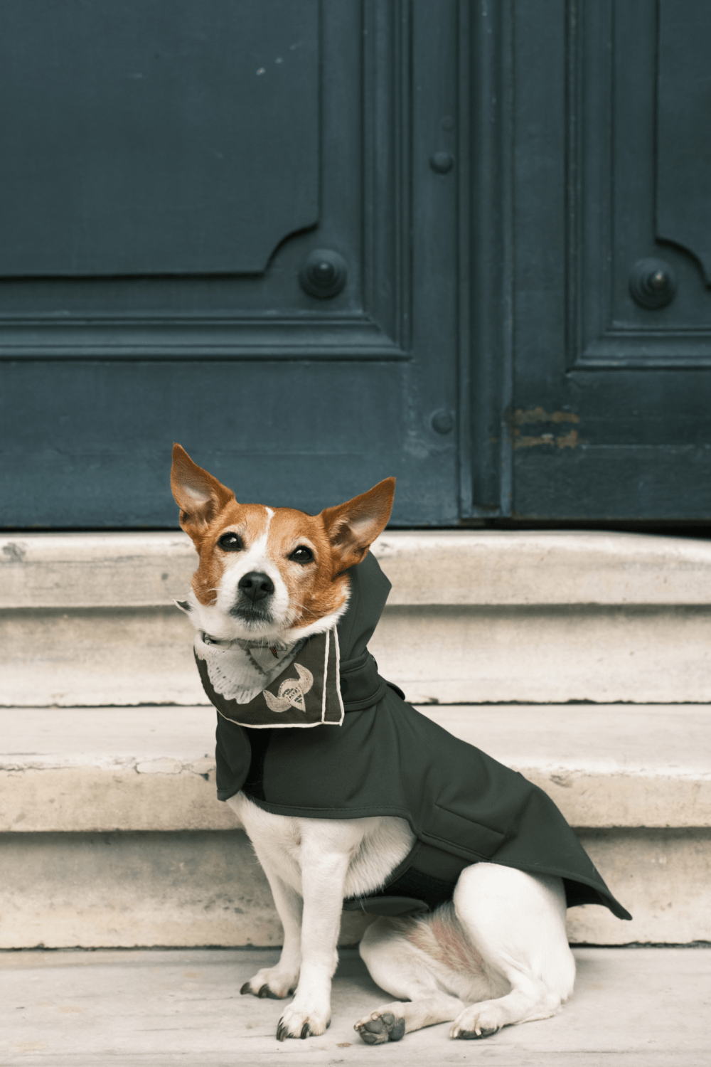 St. Pia-Pluvio Köpek Yağmurluğu-Köpek-3-Milagron.com