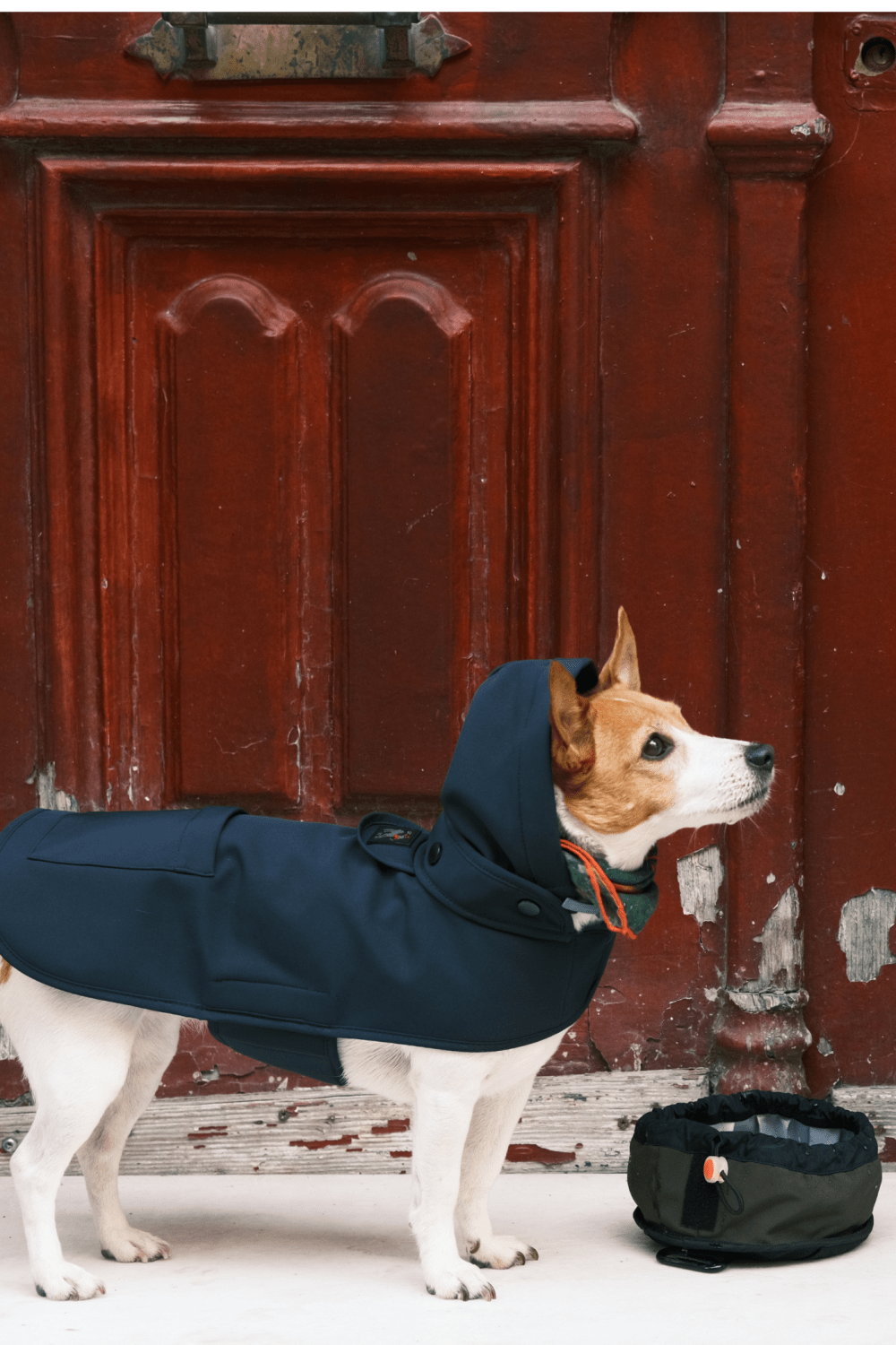 St. Pia-Pluvio Köpek Yağmurluğu-Köpek-3-Milagron.com