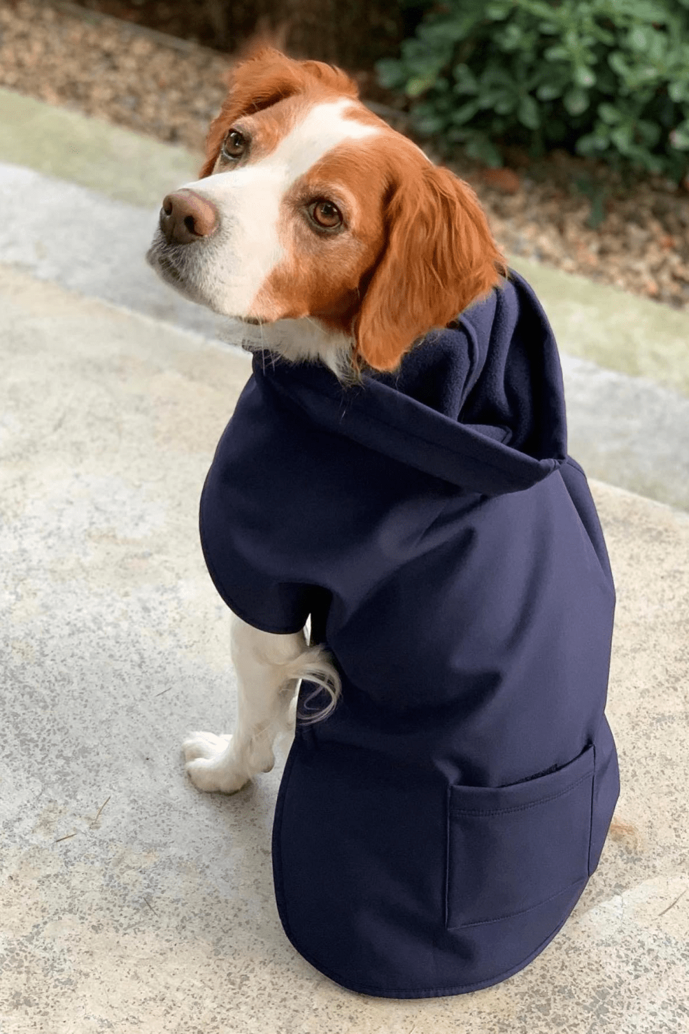 St. Pia-Pluvio Köpek Yağmurluğu-Köpek-5-Milagron.com