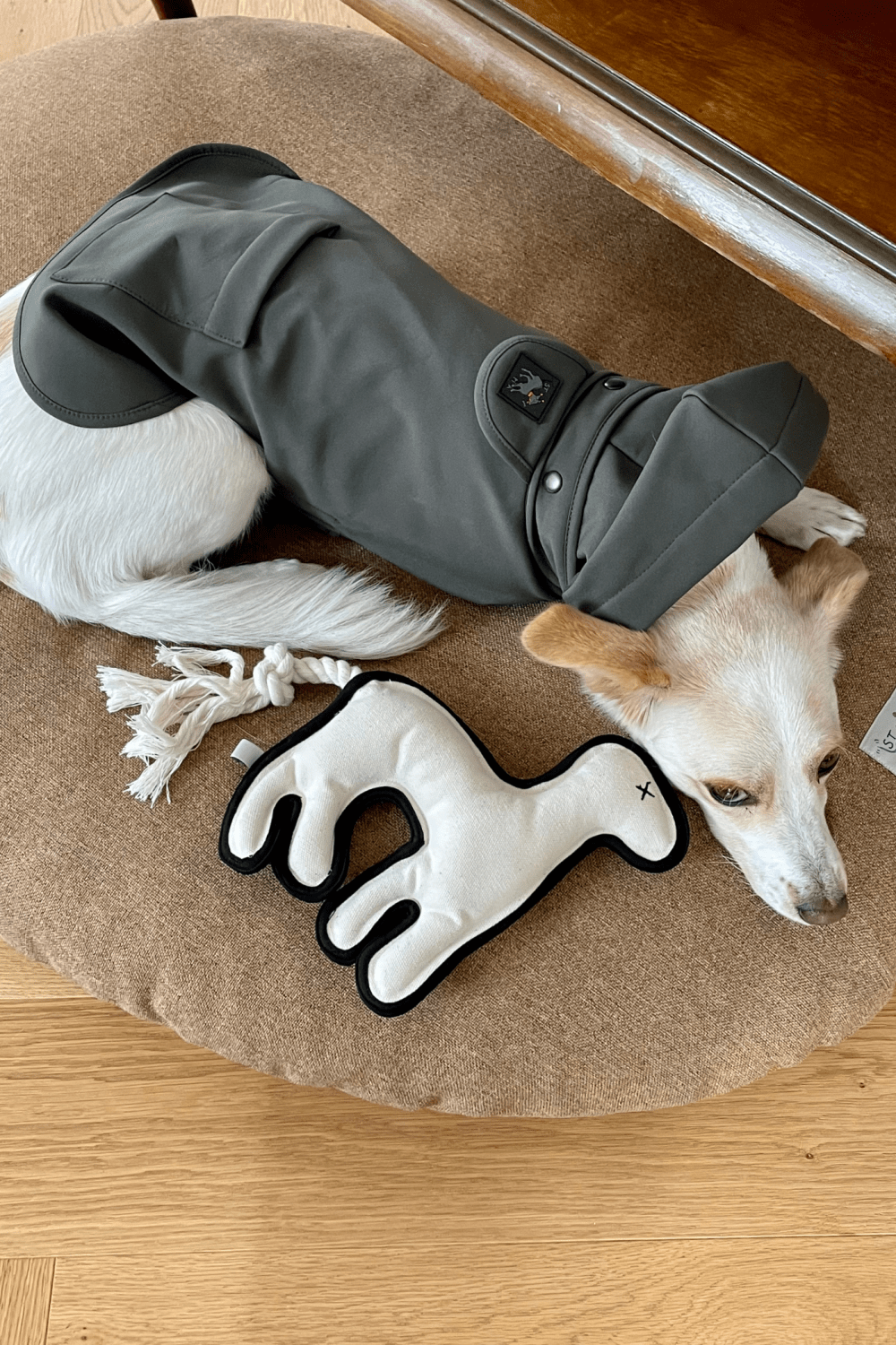 St. Pia-Pluvio Köpek Yağmurluğu-Köpek-5-Milagron.com