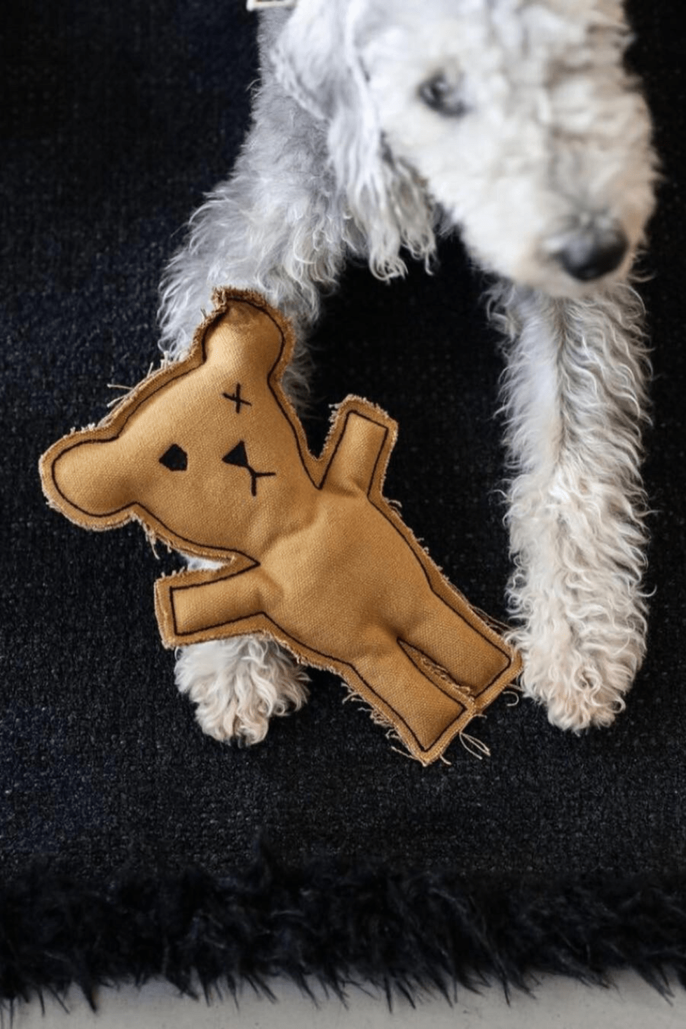 St. Pia-Robear El Yapımı Kedi + Köpek Oyuncağı-Toffee-Köpek-5-Milagron.com