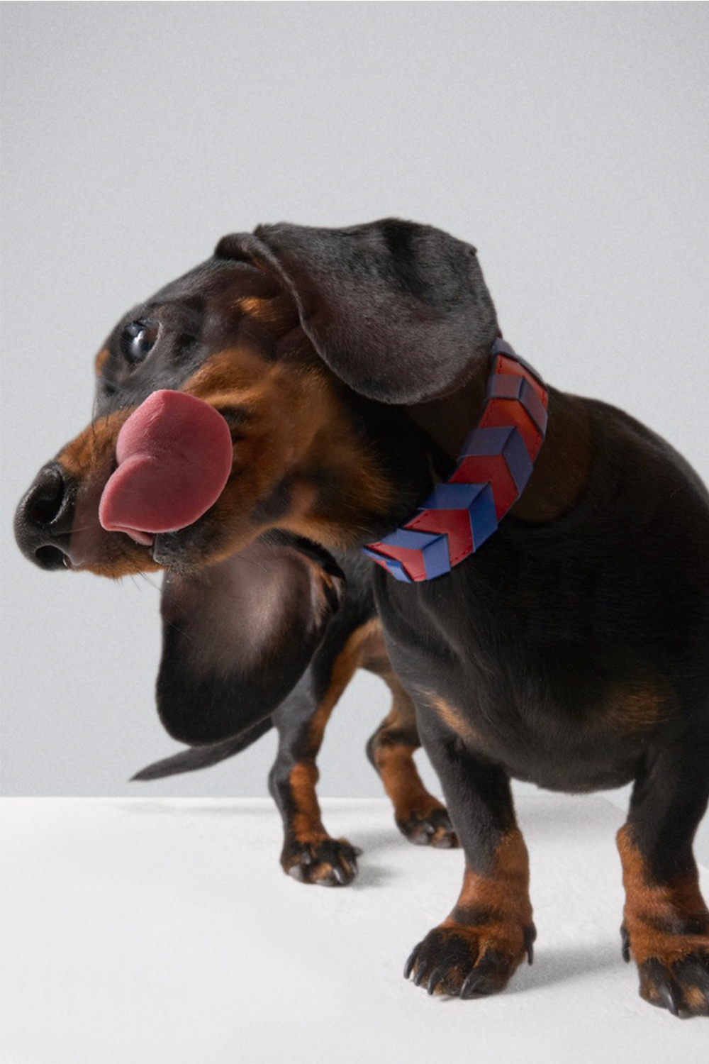 TYRO BRAIDED COLLAR - 0