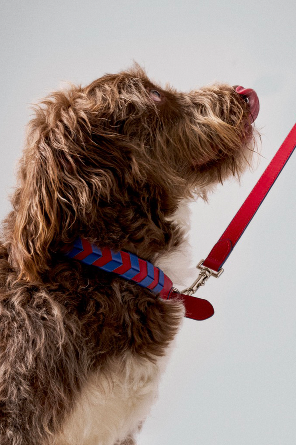 TYRO BRAIDED COLLAR - 1