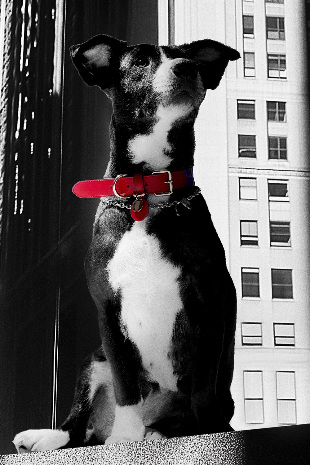 TYRO BRAIDED COLLAR - 2