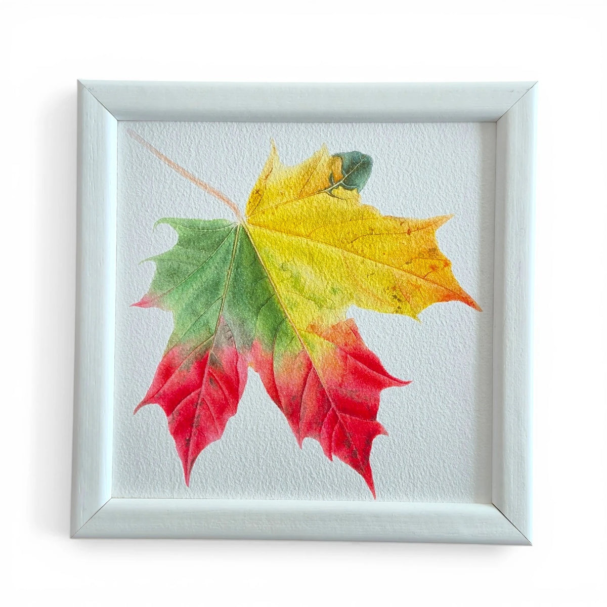 Sonbahar Yaprağı Suluboya Fine Art Baskı