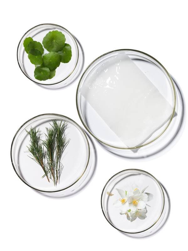 Terrazen-PDRN Total Renew Maske x10-Yüz Maskesi-4-Milagron.com