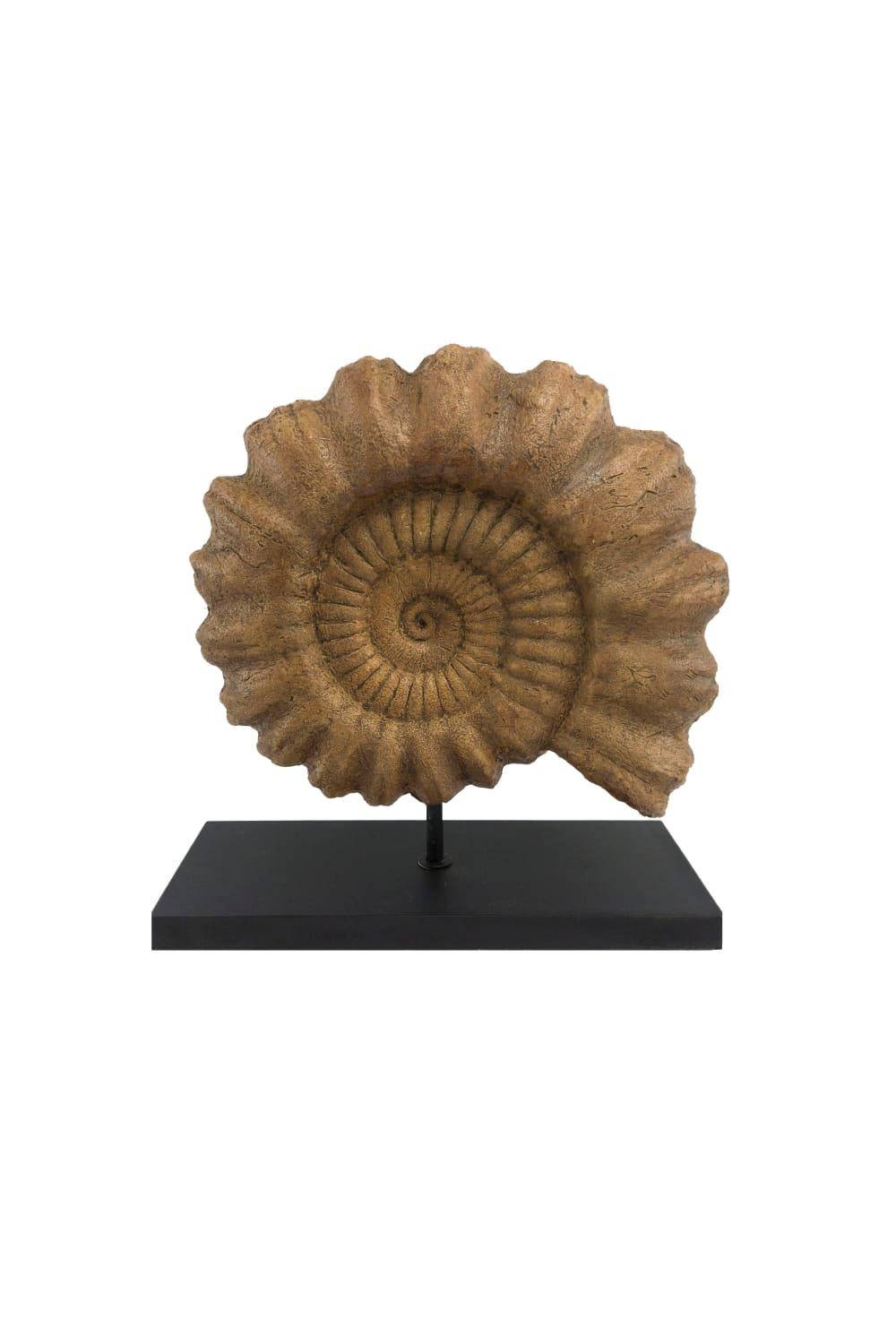 The Fossil Art-Ammonite Fosil Heykeli-Biblo-1-Milagron.com