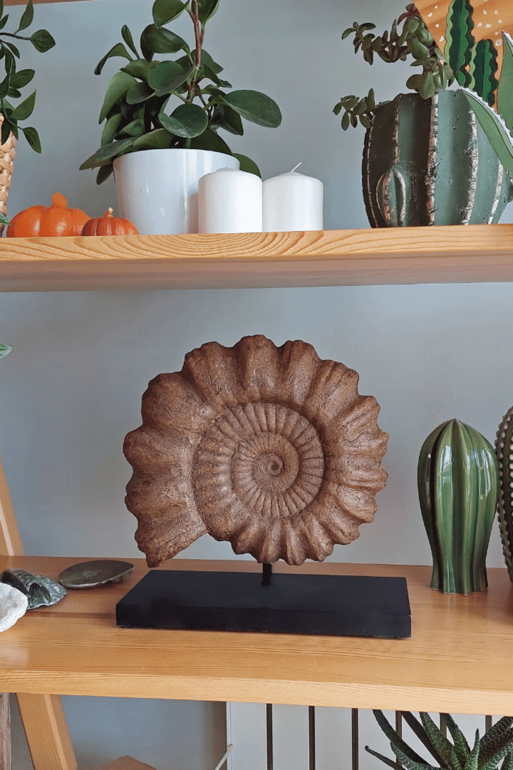 The Fossil Art-Ammonite Fosil Heykeli-Biblo-3-Milagron.com