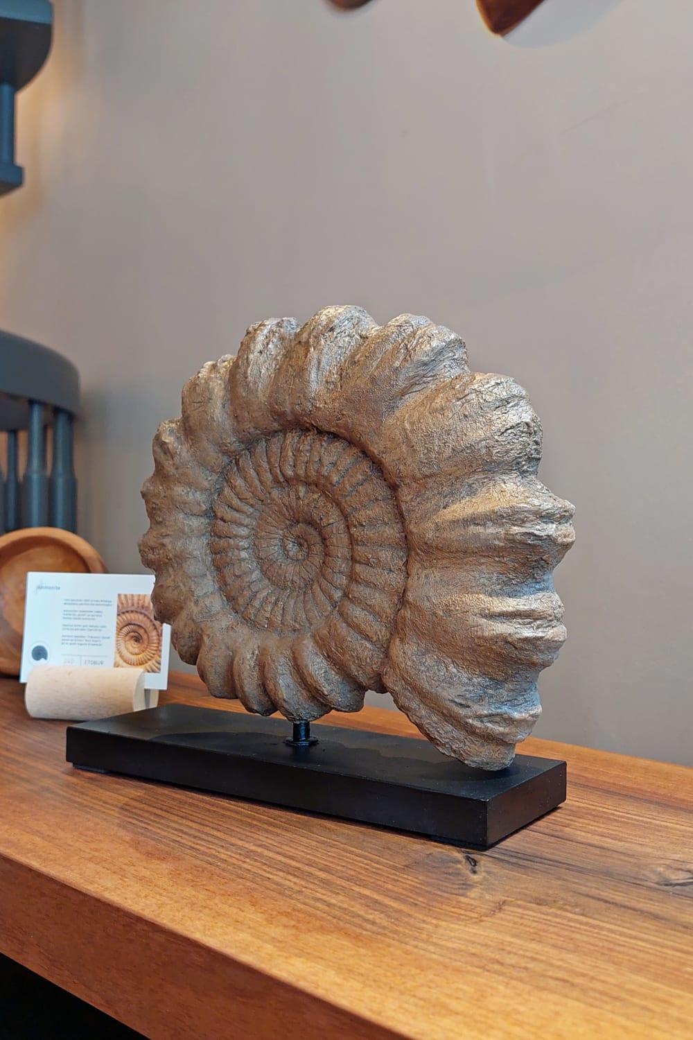 The Fossil Art-Ammonite Fosil Heykeli-Biblo-4-Milagron.com