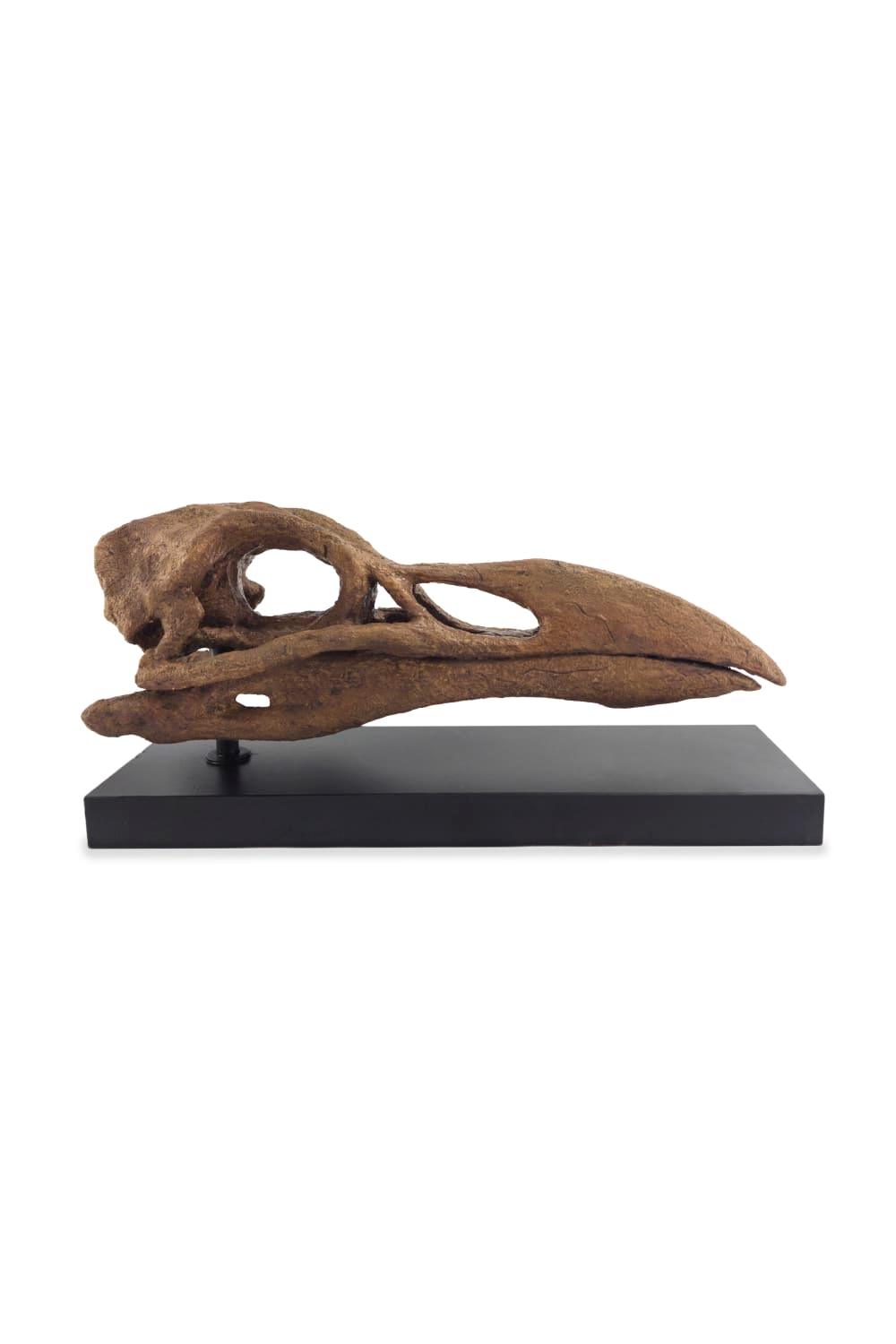 The Fossil Art-Great Auk Fosil Heykeli-Biblo-1-Milagron.com