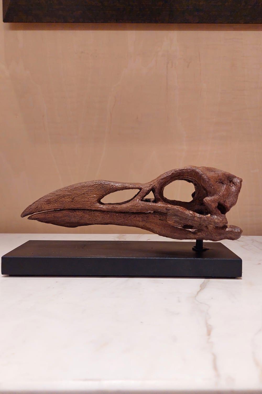 The Fossil Art-Great Auk Fosil Heykeli-Biblo-3-Milagron.com