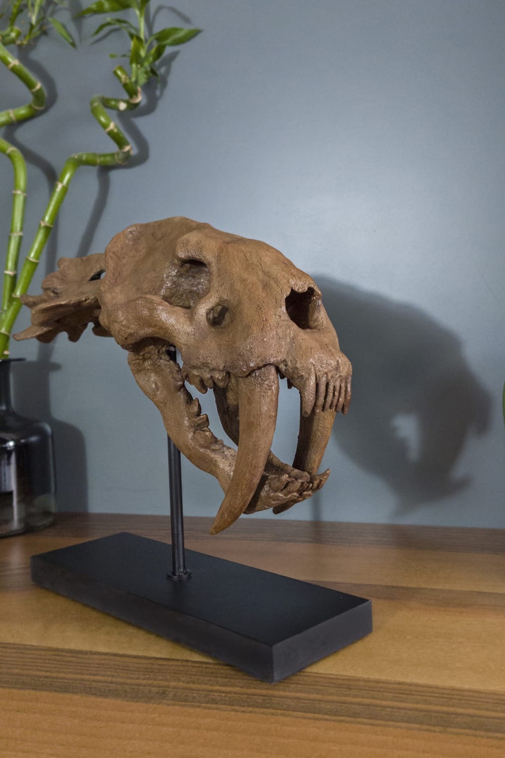 The Fossil Art-Sabertooh Fosil Heykeli-Biblo-3-Milagron.com