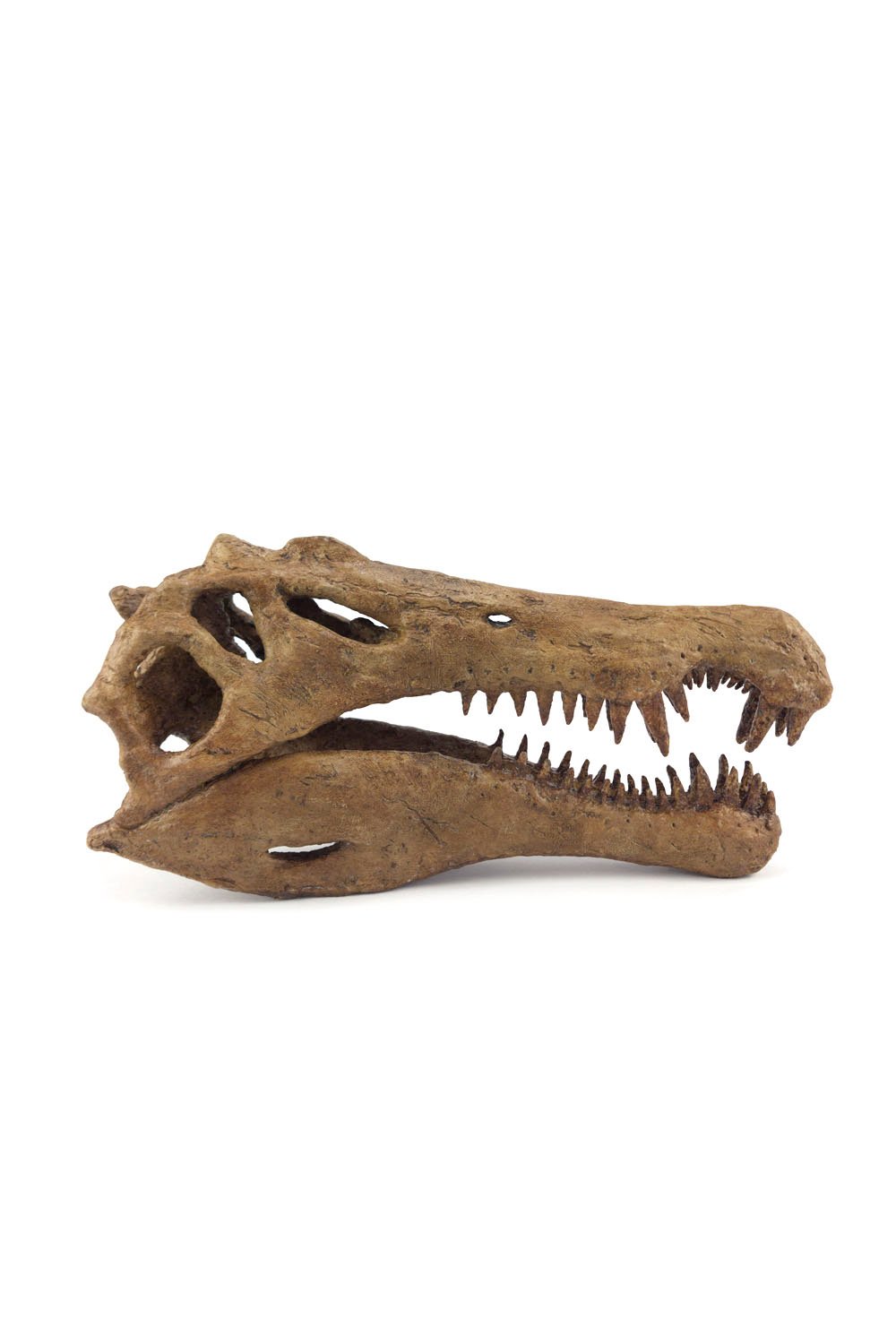 The Fossil Art-Spinosaurus Seramik Heykel-Heykel-1-Milagron.com