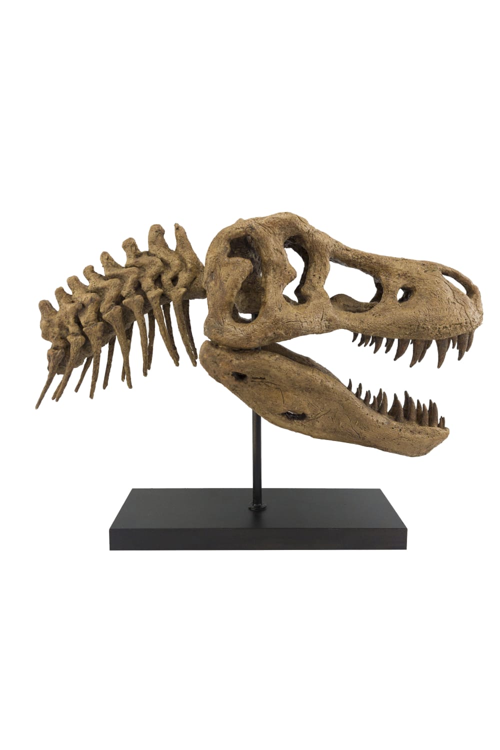 The Fossil Art-T-Rex Fosil Heykeli-Biblo-1-Milagron.com