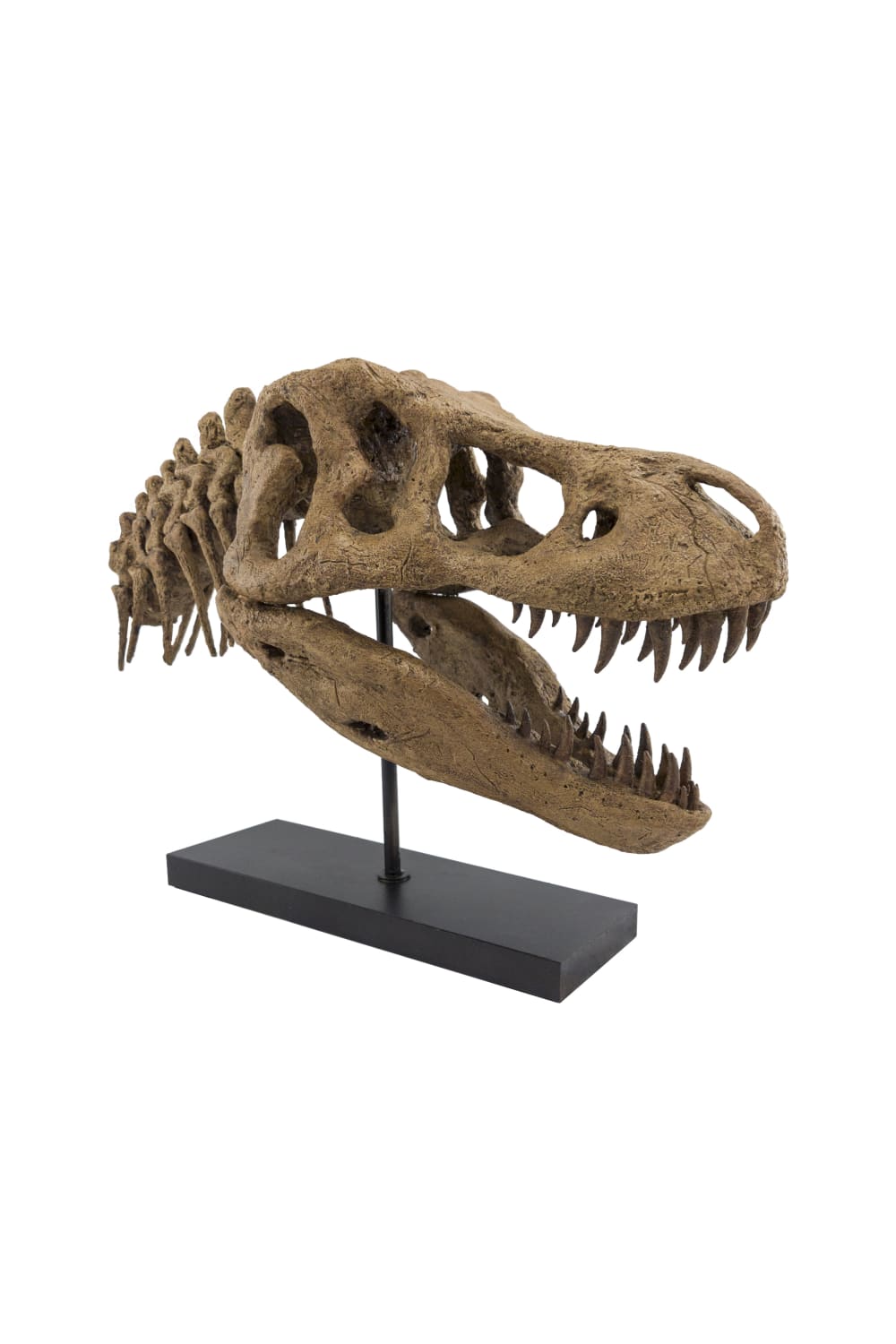 The Fossil Art-T-Rex Fosil Heykeli-Biblo-2-Milagron.com