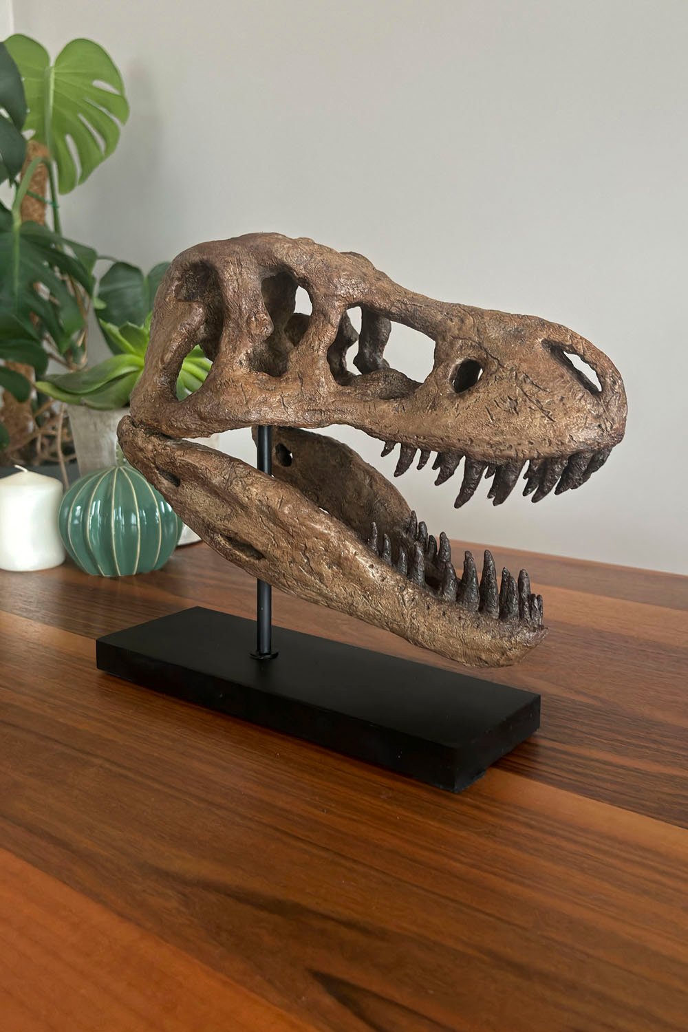 The Fossil Art-T-rex Fosil Heykeli - Omurgasız-Heykel-4-Milagron.com