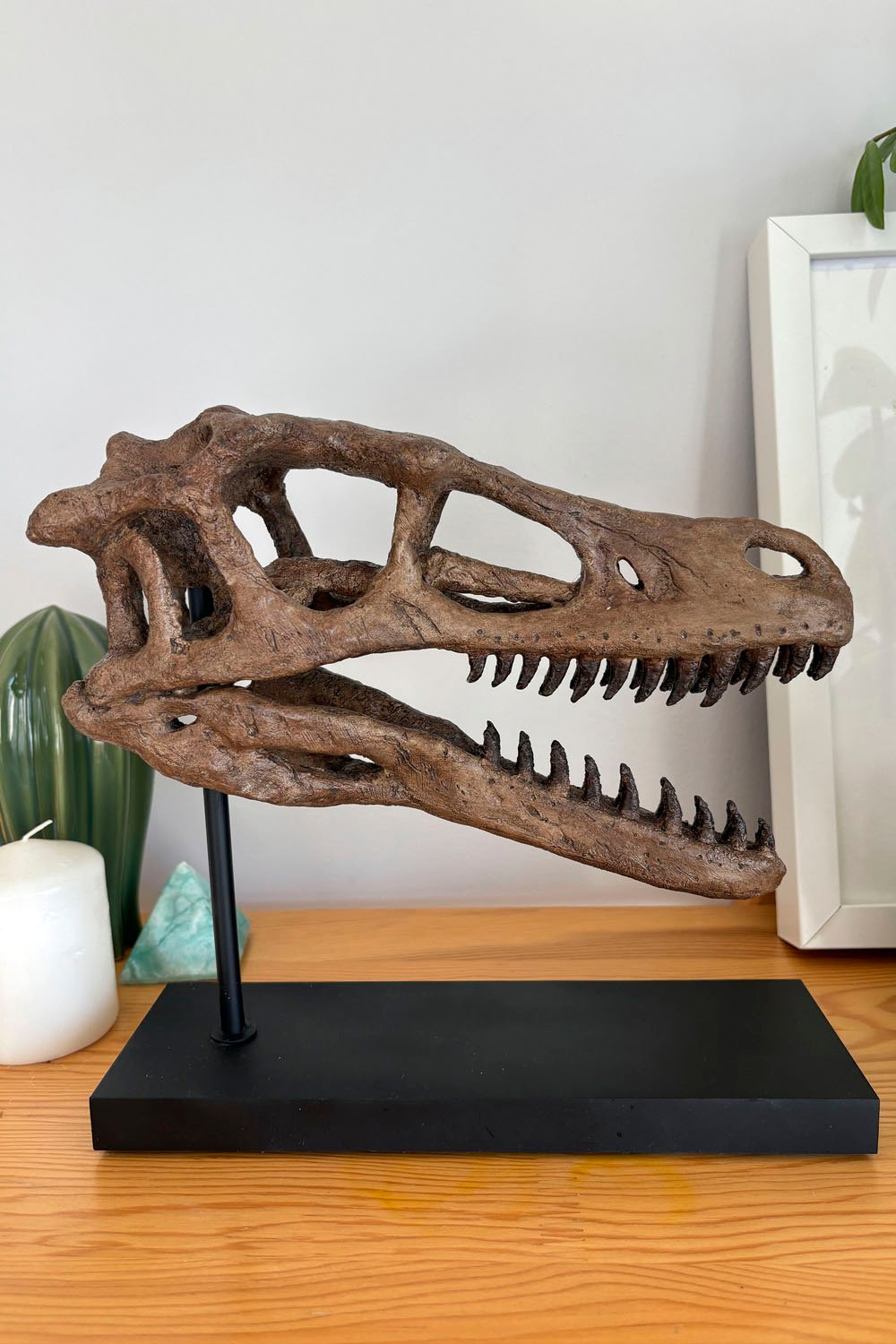 The Fossil Art-Velociraptor Fosil Heykeli - Omurgasız-Heykel-5-Milagron.com