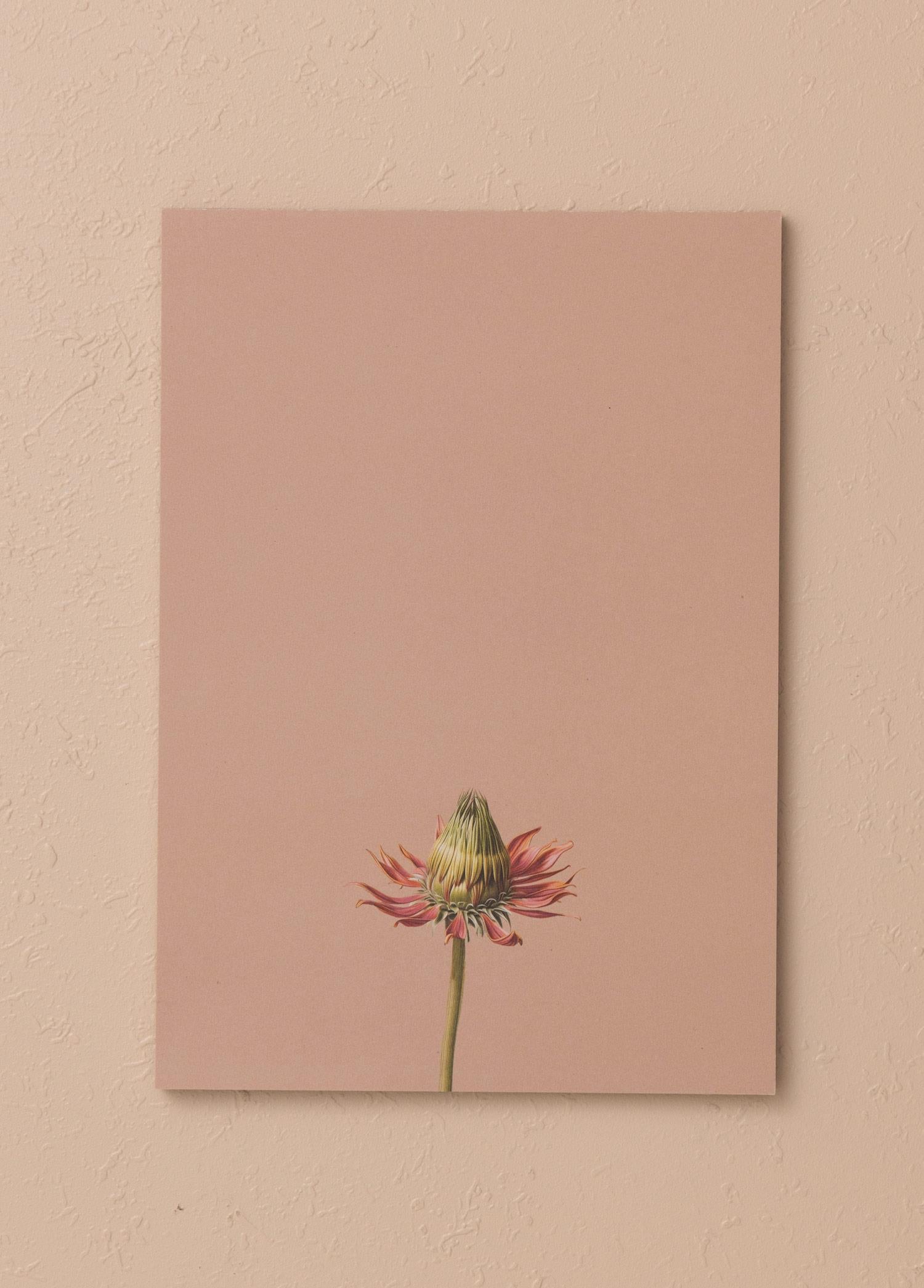 Art Line Mini Notluk Coneflower 15X21 Cm 40 Yaprak