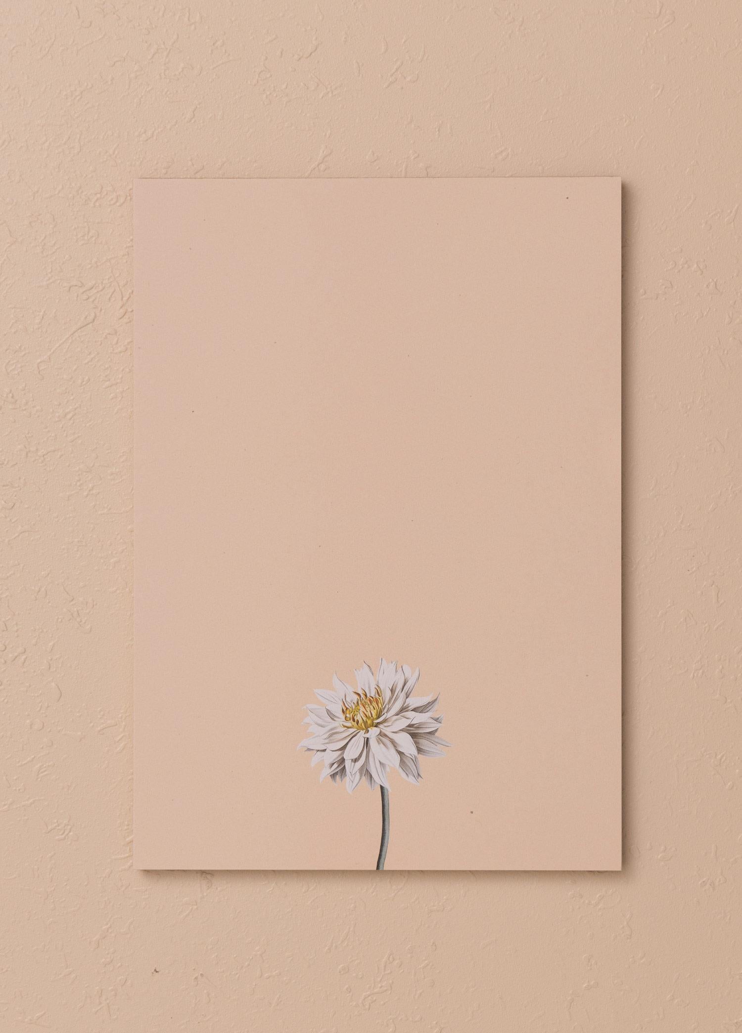 Art Line Mini Notluk Dahlia 15 X 21 Cm 40 Yaprak