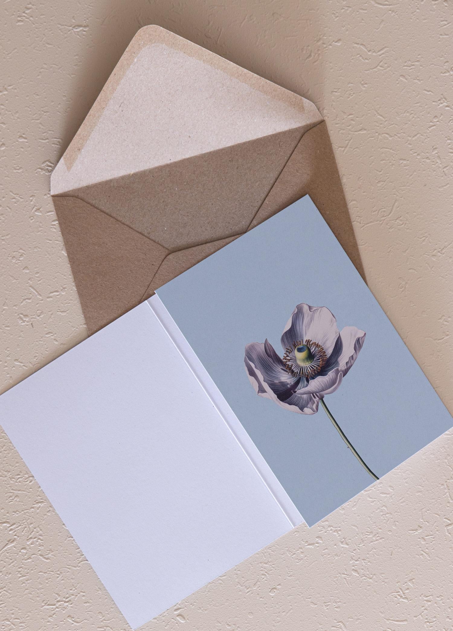 Art Line Mini Tebrik Kart Seti Anemone 10 X 14 Cm