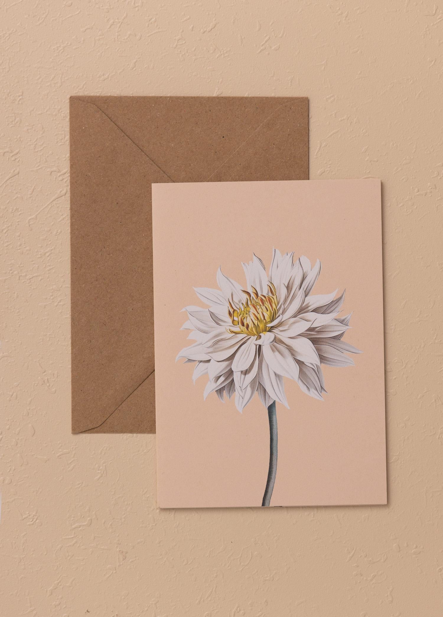Art Line Mini Tebrik Kart Seti Dahlia 10 X 14 Cm