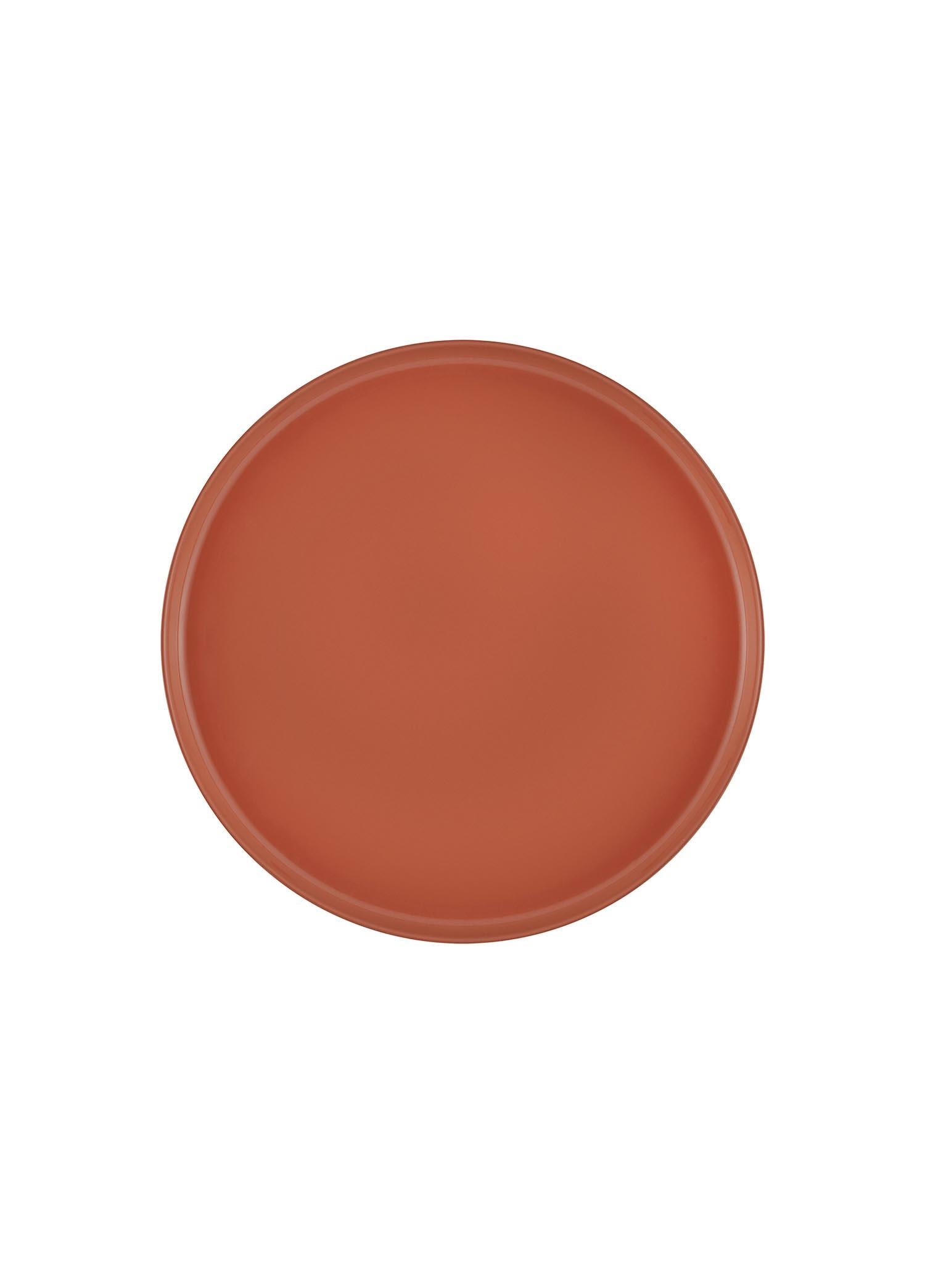 Cotta Limoges Pasta Tabağı Terracota 21 Cm
