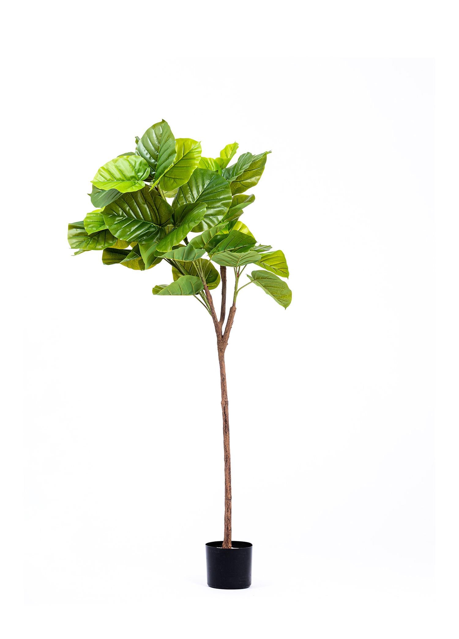 Ficus Umbellata Yapay Ağaç Yeşil 4 Dallı 150 Cm